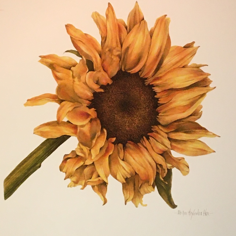 AUTUMN SUNFLOWER Giclee print on premium paper